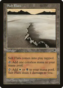 4x Salt Flats - LP/MP - Tempest Block - SPARROW MAGIC mtg - Image 1