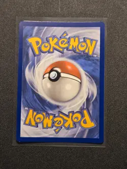 Chatot Illustration Rare SV05: Temporal Forces 181/162 Pokemon TCG NM - Image 2
