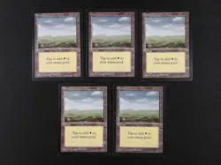 5x Plains (C) MP [Limited Edition Beta] Mtg Magic Free Tracking! - Image 1