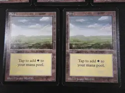 5x Plains (C) MP [Limited Edition Beta] Mtg Magic Free Tracking! - Image 4
