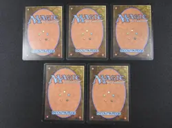 5x Plains (C) MP [Limited Edition Beta] Mtg Magic Free Tracking! - Image 5