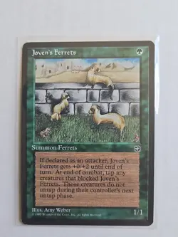 Joven's Ferrets - Homelands - MP - MTG Magic - Common - Creature - Image 1