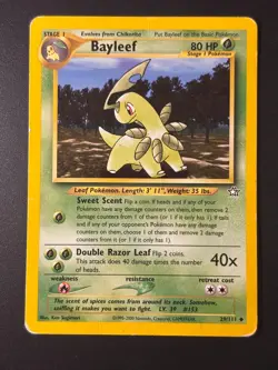 Vintage Pokemon Card Lot - WOTC 1999-2000 - Neo, Rocket, Jungle - Image 2