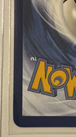 Eiscue 205/193 Illustration Rare Pokemon Paldea Evolved NM - Image 4