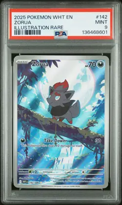 2025 POKEMON WHT EN-WHITE FLARE ILLUSTRATION RARE #142 ZORUA PSA 9 - Image 1