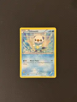 Oshawott BW03 2011 Pokemon TCG Black & White Black Star Promo MP (Ken Sugimori) - Image 1