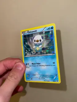Oshawott BW03 2011 Pokemon TCG Black & White Black Star Promo MP (Ken Sugimori) - Image 2