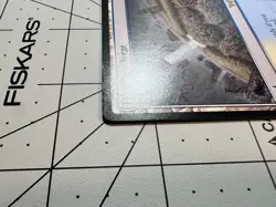 Trading card singles for Magic the Gathering: Floodfarm Verge - Image 4