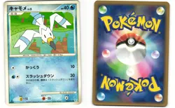 Wingull Common Pokemon TCG Advent of Arceus 024/090 (Pt4) MP - Image 3