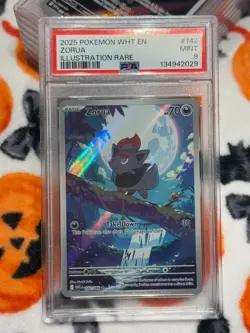 Zorua Illustration Rare Pokemon Wht En-White Flare 142/086 PSA 9 - Image 3