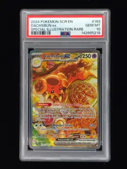 Dachsbun ex 169 Pokemon Stellar Crown 2024 PSA 10 🔥🔥🔥 - Image 1