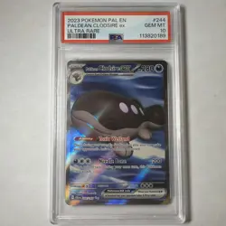 PSA 10 GEM Mint Paldean Clodsire ex 244/193 Ultra Rare - Pokemon PAL SV02 - Image 1