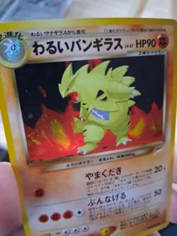 Pokemon Japanese Darkness And To Light Dark Tyranitar #248 Holo Card (F/S) Swirl - Image 5