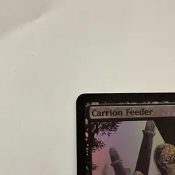 MTG: Carrion Feeder - FNM PROMO FOIL - FRIDAY NIGHT MAGIC - ENGLISH - LP - - Image 2