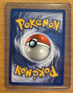 2004 Treecko 016 Black Star Promo Rare Holo English Nintendo Pokemon TCG NM-MT - Image 2