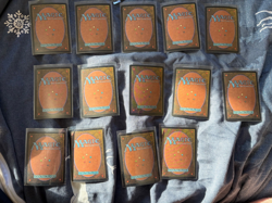 FOIL BASIC LAND LOT - 7th, Masques, Invasion MTG 14 Cards - MAGIC THE GATHERING - Image 2