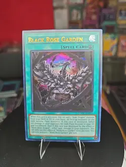 Black Rose Garden DOOD-EN055 Doom of Dimensions 1st Edition Ultra Rare Yu-Gi-Oh - Image 1