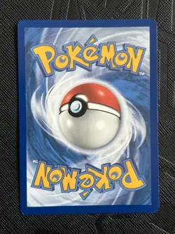 Pokemon TCG Bidoof GG29/GG70 Crown Zenith: Galarian Gallery Holo (English) - NM - Image 4