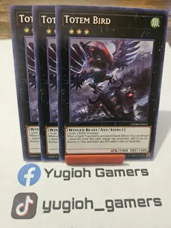 Yu-Gi-Oh Totem Bird X3 LED8 1st Edition Rare Light Played - Image 1