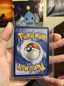 2016 POKEMON XY BLACK STAR PROMO COLLECTOR CHEST M GENGAR EX #XY166 HOLO LP+/NM- - Image 5