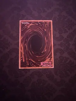 Rafale, Champion Fur Hire - MP19-EN253 - Common - 1st Edition YuGiOh - Image 2