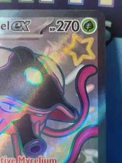 Toedscruel EX 213/091 Shiny Ultra Rare Pokemon Scarlet & Violet Paldean Fates - Image 3