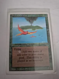 Birds of Paradise Revised Edition Regular - Image 1