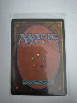 Birds of Paradise Revised Edition Regular - Image 2