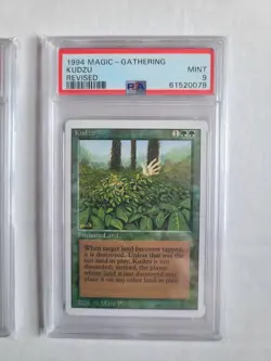 MTG 2 Revised Reserved List Cards All PSA 9 MINT Kudzu, Veteran Bodyguard 1994 - Image 3