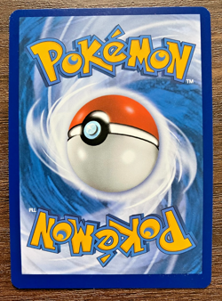 HOLO Miraidon EX 081/198 - 2023 Pokemon Scarlet & Violet Rare Card - CLEAN NM - Image 2