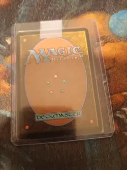 Forest - Full Art Unhinged Regular, NM, magic, MTG, FREE NEXT DAY SHIPPING! - Image 2