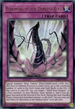 Blooming of the Darkest Rose PRESALE Legendary 5d's Akiza Deck Yu-Gi-Oh! 11/21 - Image 1