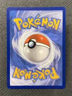 Dachsbun EX #160/142 [Ultra Rare]- Stellar Crown - Pokemon TCG - NM - Image 2