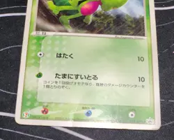 2003 Pokemon Treecko 015/ADV-P 7-Eleven Japanese - Image 5