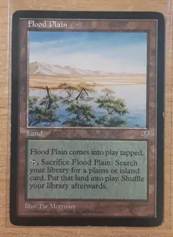 1996 MAGIC THE GATHERING MIRAGE FLOOD PLAIN TD25 - Image 1