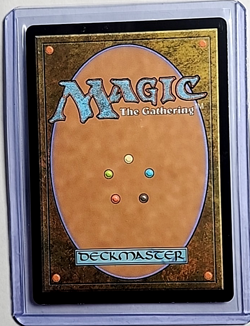 2024 MTG Magic the Gathering Secret Lair Drop Rainbow Foil 824 Evolving Wilds LP - Image 2