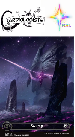 Swamp Full Art FOIL | Magic the Gathering | Edge of Eternities | NM - Image 1