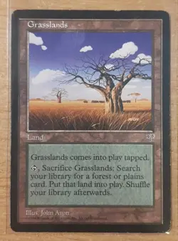 1996 MAGIC THE GATHERING MIRAGE GRASSLANDS TD25 - Image 1