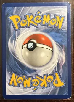 Pokemon Eevee & Snorlax GX Team Up TCG SM169 Holo Black Star Promo - Image 2