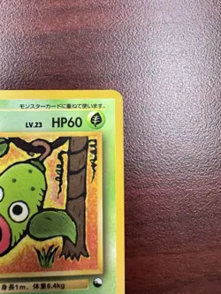 Weepinbell Pokemon Japanese No.070 Vending Series Vintage Glossy LP+ - Image 4