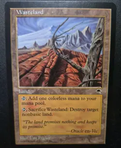 Wasteland, Tempest, land MTG-RAW - Image 1