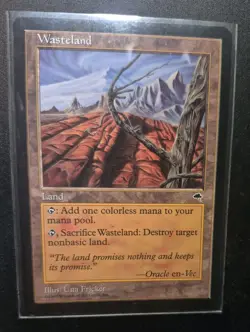 Wasteland, Tempest, land MTG-RAW - Image 2