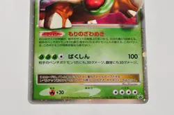 Pokemon card Torterra LV.X 076/DP-P Secret of the Lakes Promo 2008 Japanese MP - Image 3