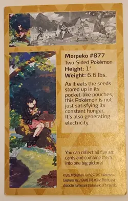 Pokemon Crown Zenith Marnie & Morpeko EMPTY Mini Tin ONLY - Image 4