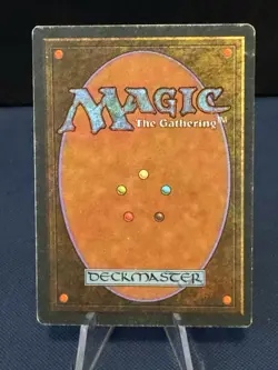 MTG - Magic The Gathering - Adarkar Wastes - Ice Age - LP/EX! - Image 2