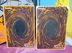 Dark Magician SDY-006/Blue-Eyes White Dragon SDK-001 UNLIMITED(BOTH DAMAGED) - Image 2