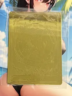 Liquid Fantasy ZR-11 Metal Goddess Story Anime Waifu Card Aquarius - Image 2