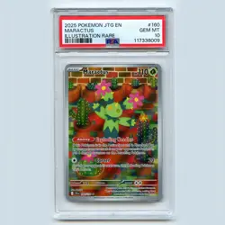 **PSA 10** Maractus | 160 | Pokemon, Journey Together, Illustration Rare, 2025 - Image 1
