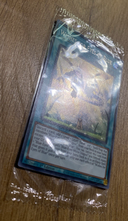 *SEALED* Wishes for Eyes of Blue | SDWD-EN042 | Secret Rare | 1st Ed YuGiOh Mint - Image 5