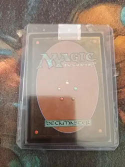 Sword of Feast and Famine Mirrodin Besieged, NM, MTG, Magic, FREE SHIPPING! - Image 2